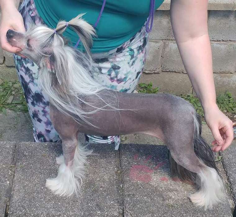 Altacrest's 'Cause I'm Pretty