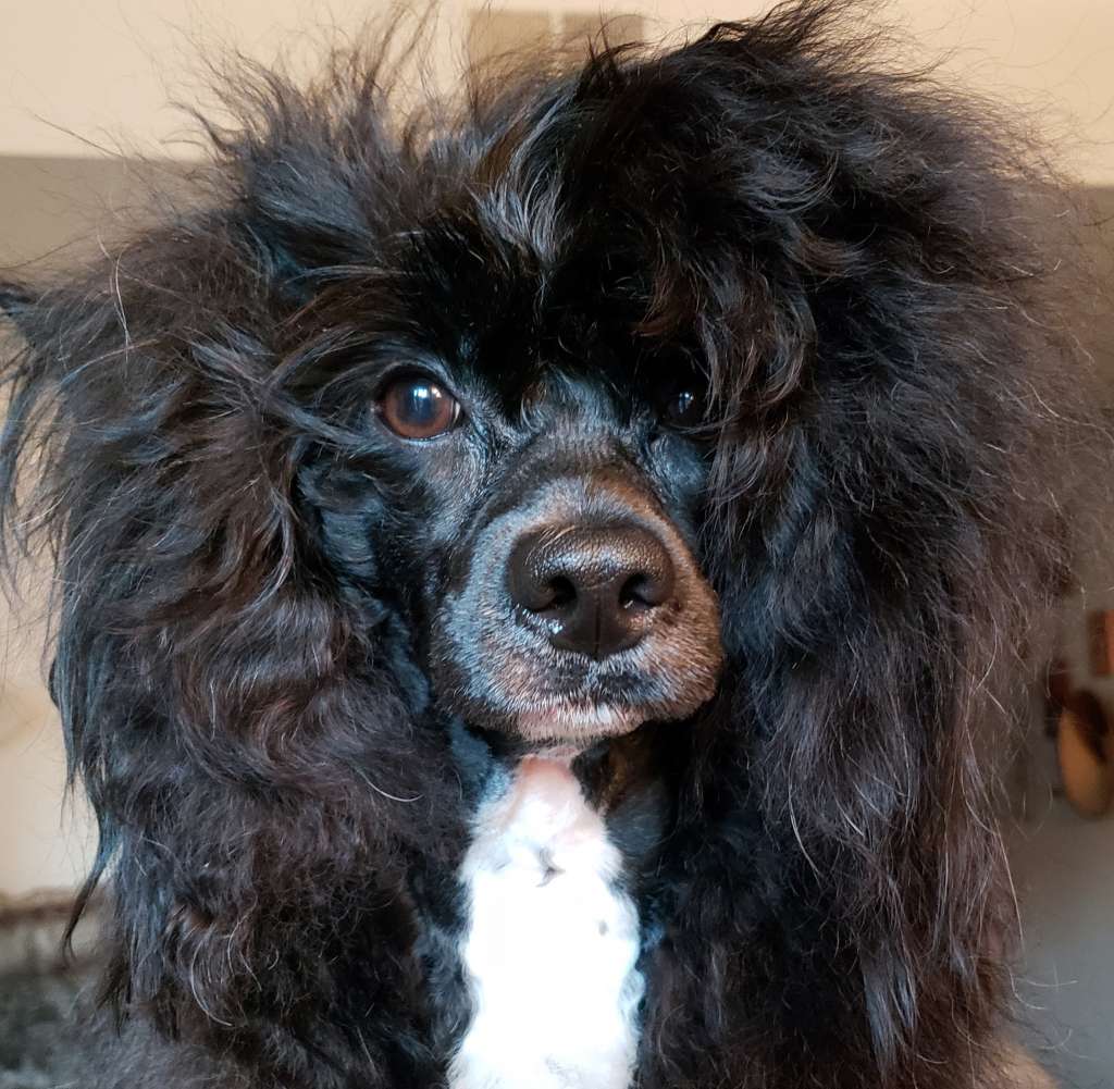 Incanto Del Mondo Speed Of Light