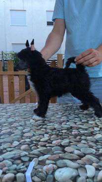 Valkrest Half Moon Bay