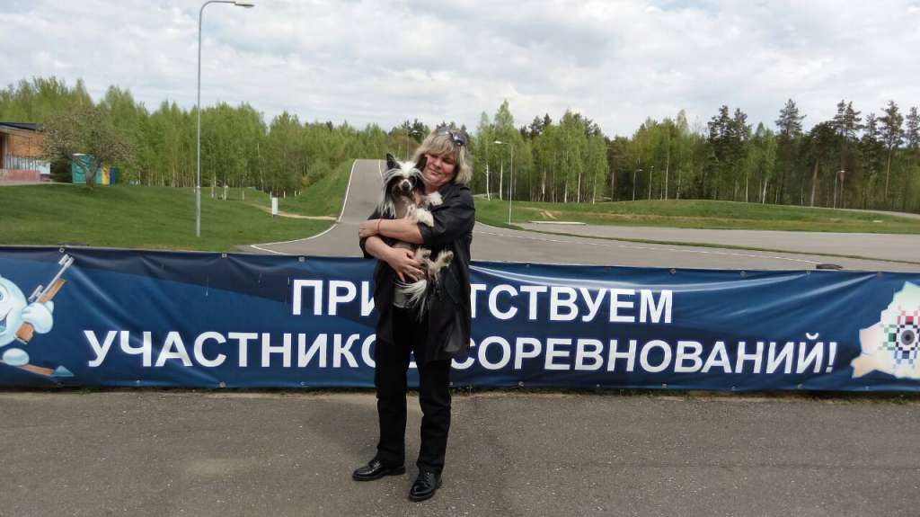 Fantasy Vita Vento Stellare