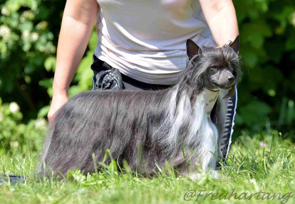 GINGER Caramella's Family