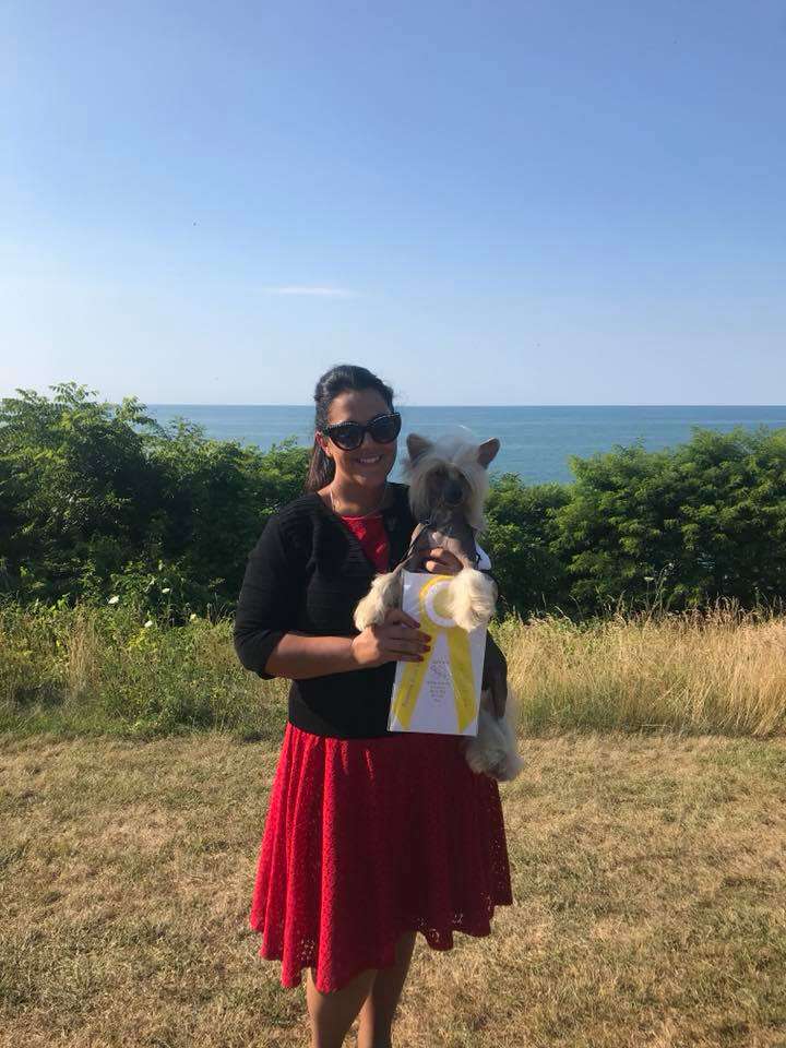 RBIS GCH CH Sunlit Carrera's Nouveau Cirque