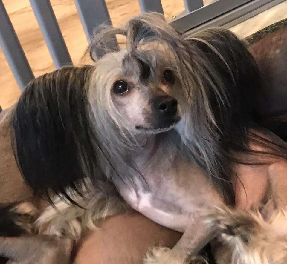 Country's Luna Eclipse