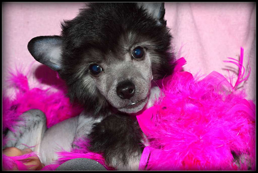 James Bond z Andelovy dlane