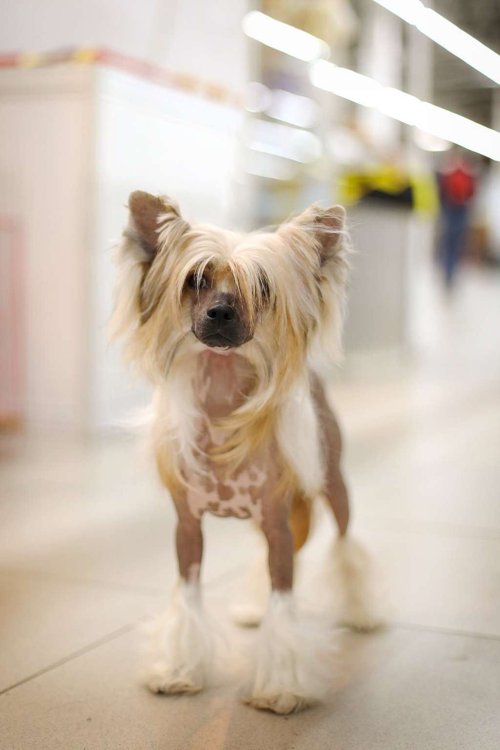 Glenlaif Alyssa Milano