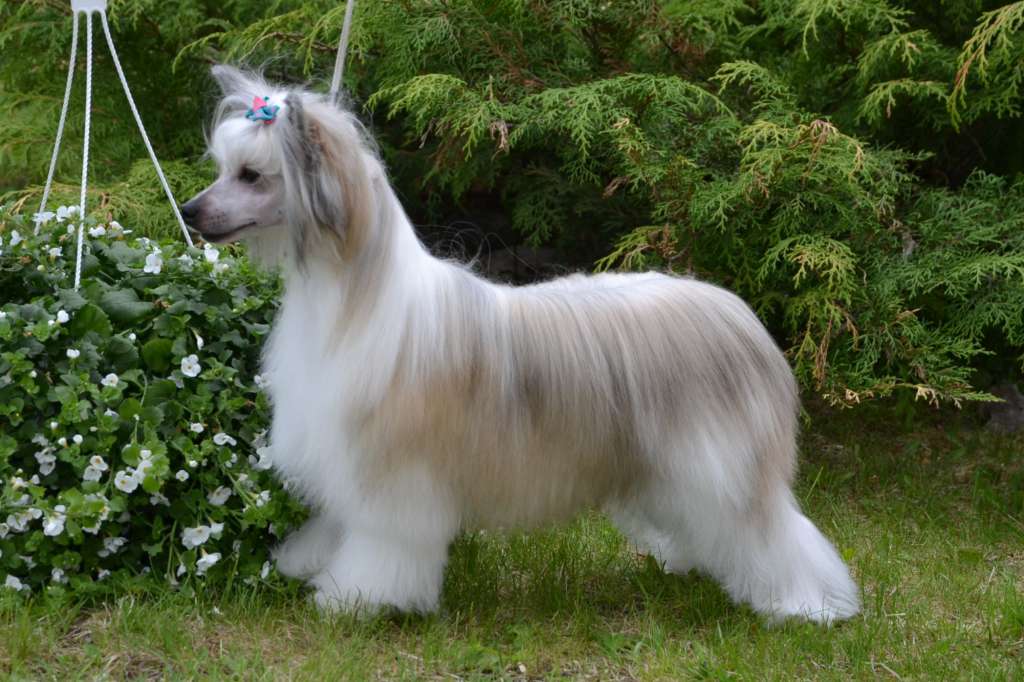 Maybell's Game Of Thrones