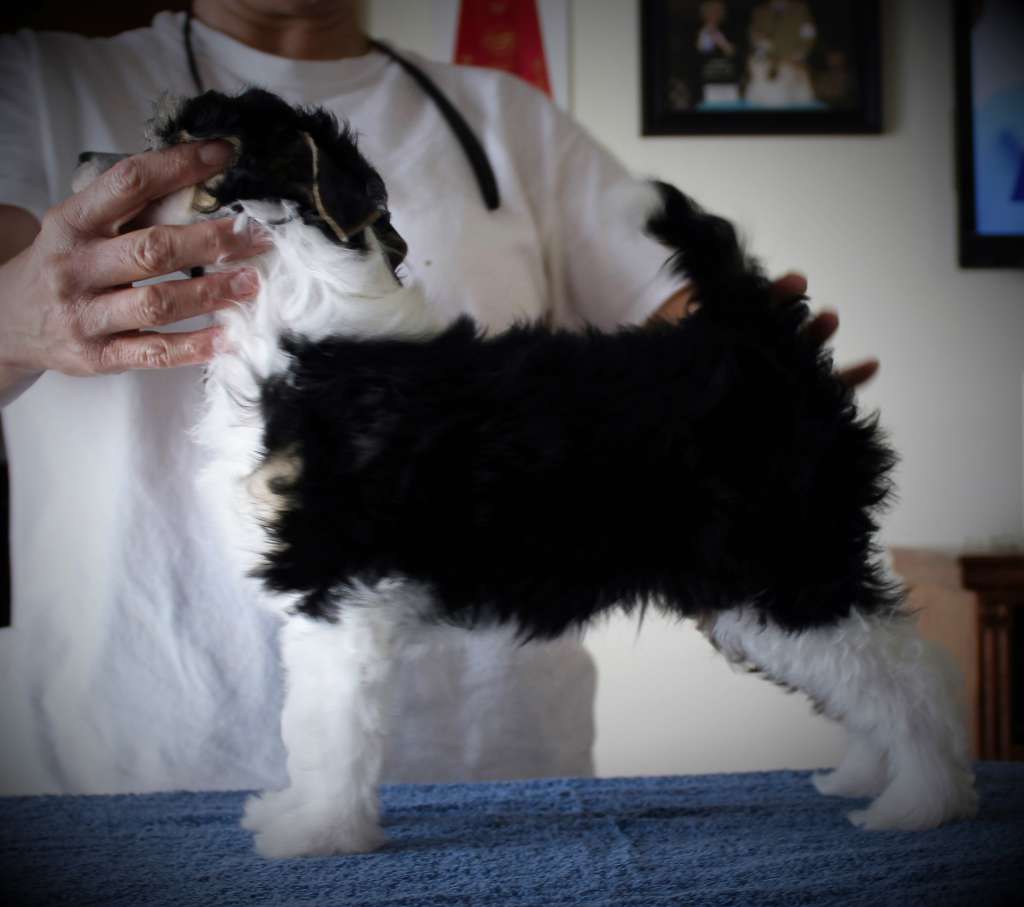 Heaven Sent's Saturday Night de Rythme