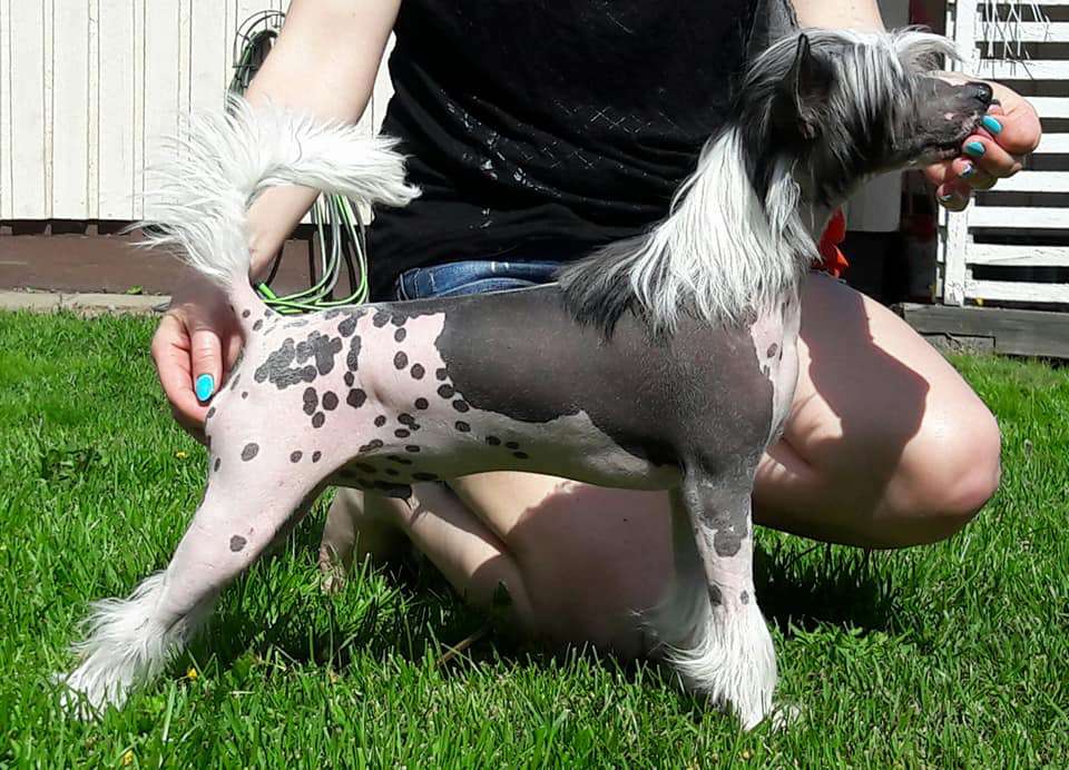 Kaitlin Naughty Noochie