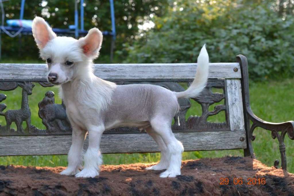 Miinuksen Elohopea On Se Niin Nopea