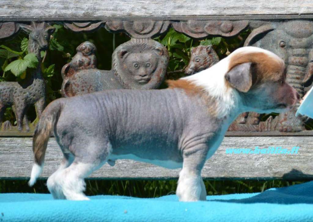 Miinuksen En Se Minä Ollut