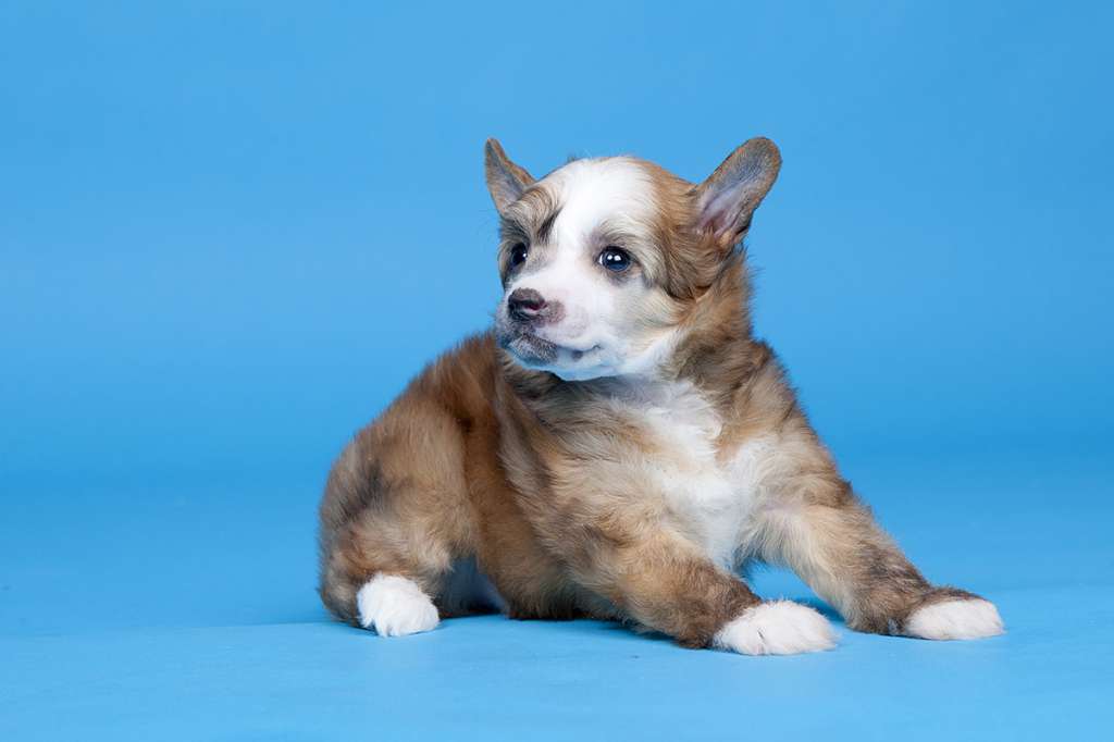 Touch Beauty Trust Your Heart