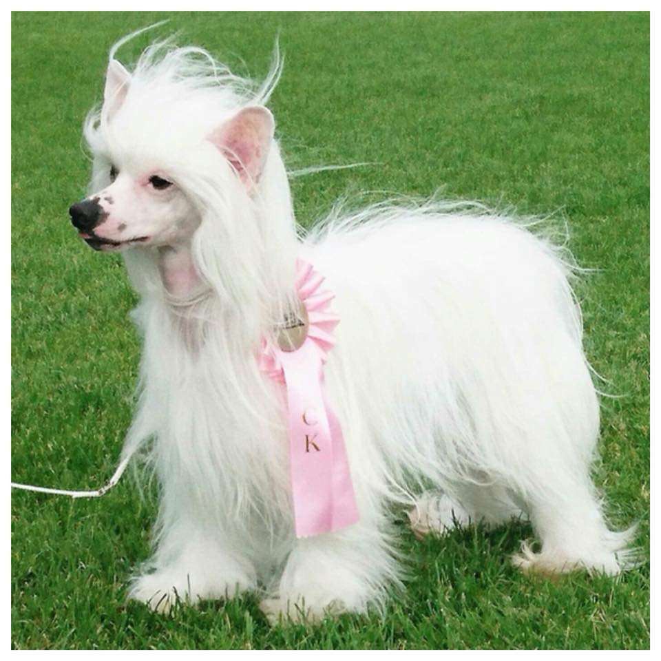 Jean Dark Nice To Meet You