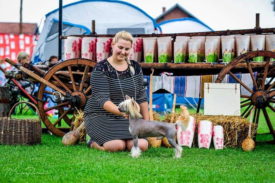 Khan Genghis La Casa De La Nieve