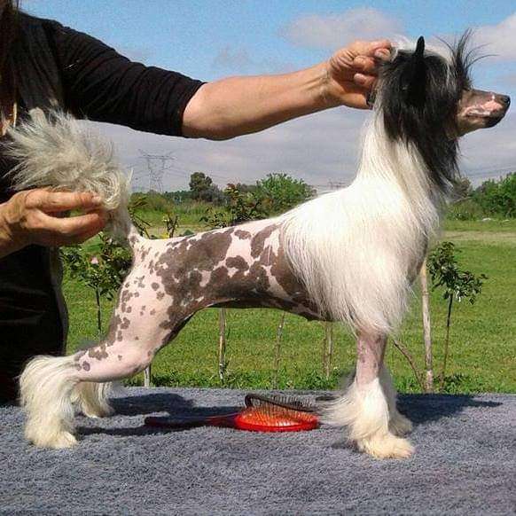 Patagonia Ranch Victoria Secret