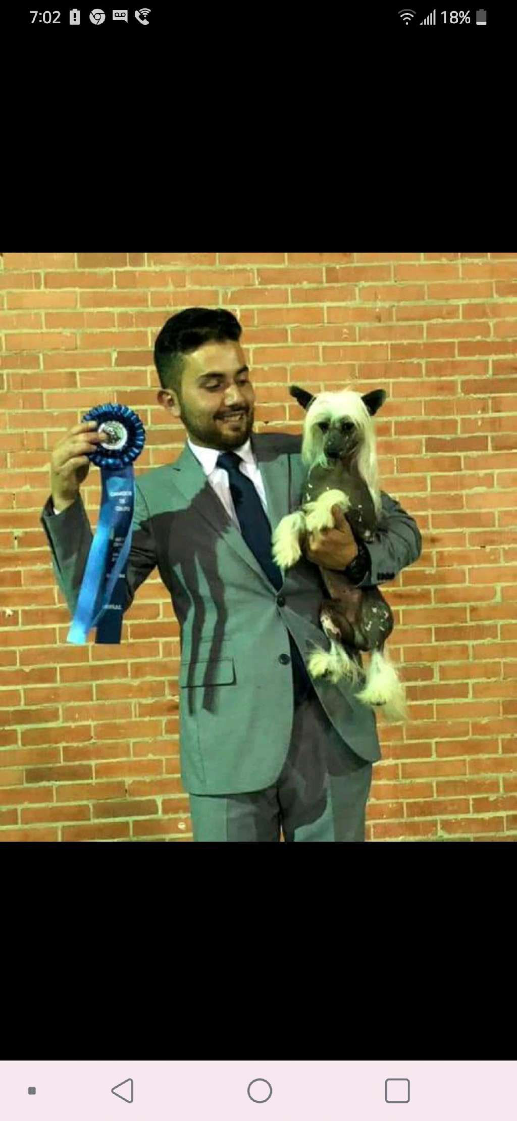 RBIS GCHS Sondras Shine Like A Star At Kylin  Pll/