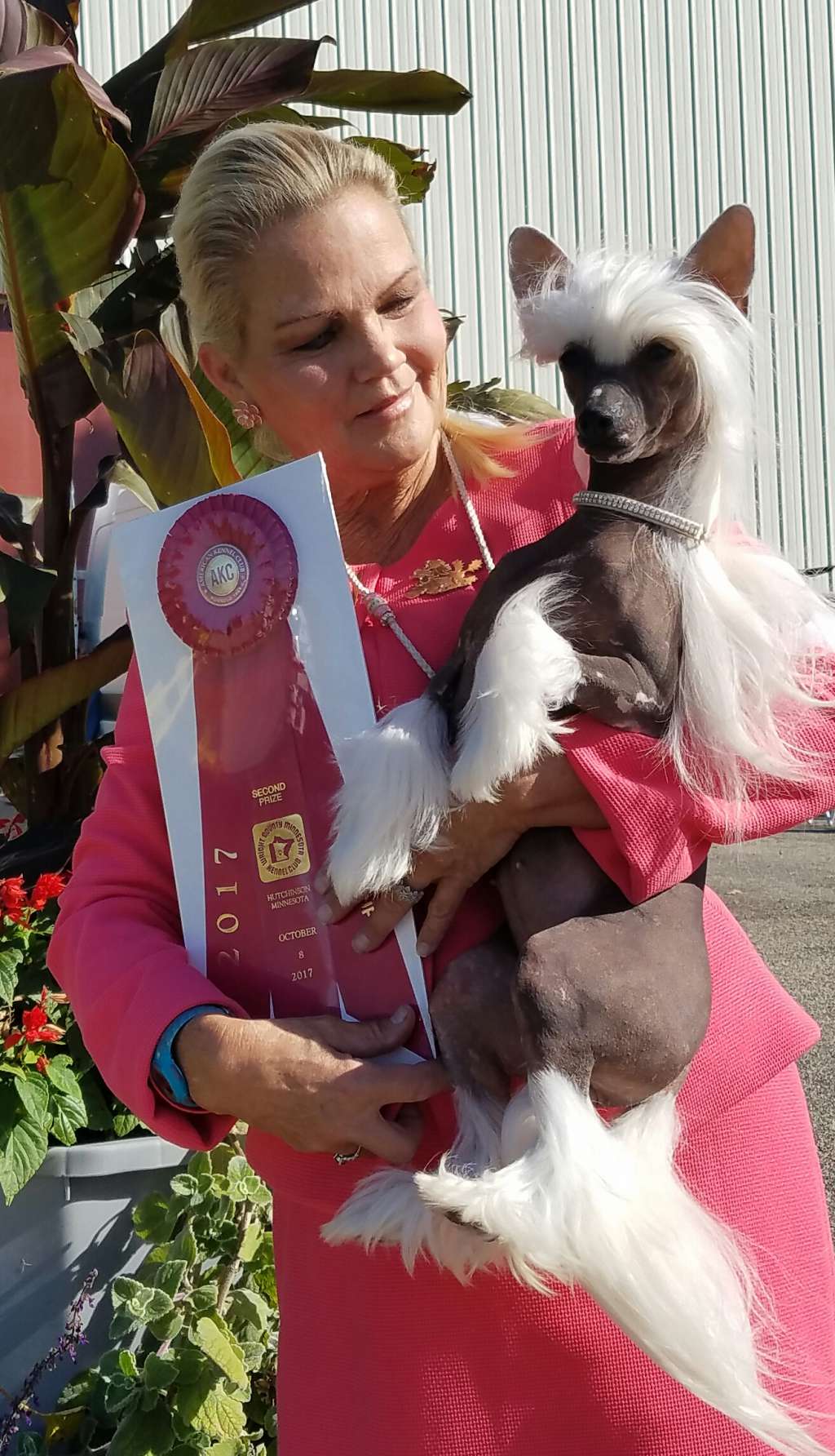 BISS GR Winning GCHB Sondras When Doves Cry at Kyl