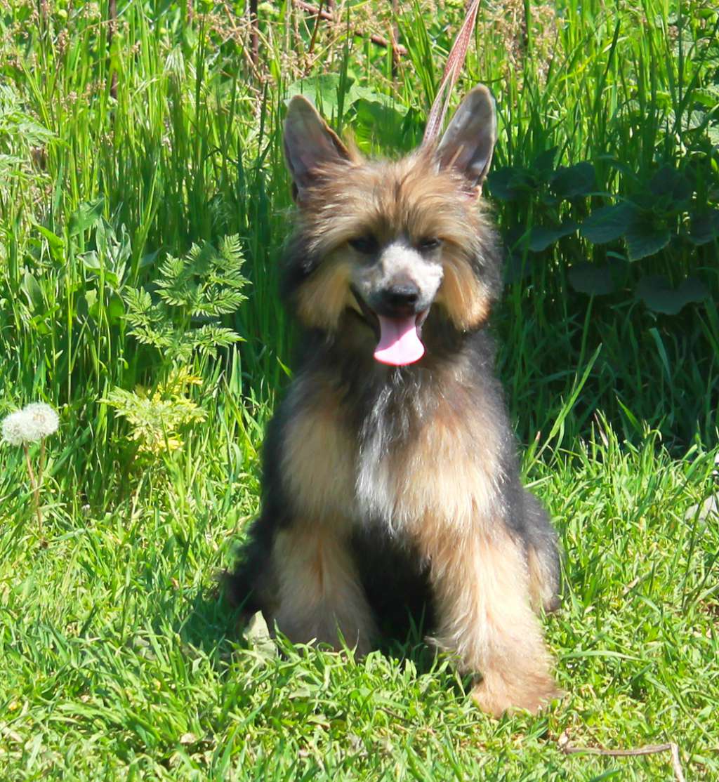 Donald Molosos Gratzi