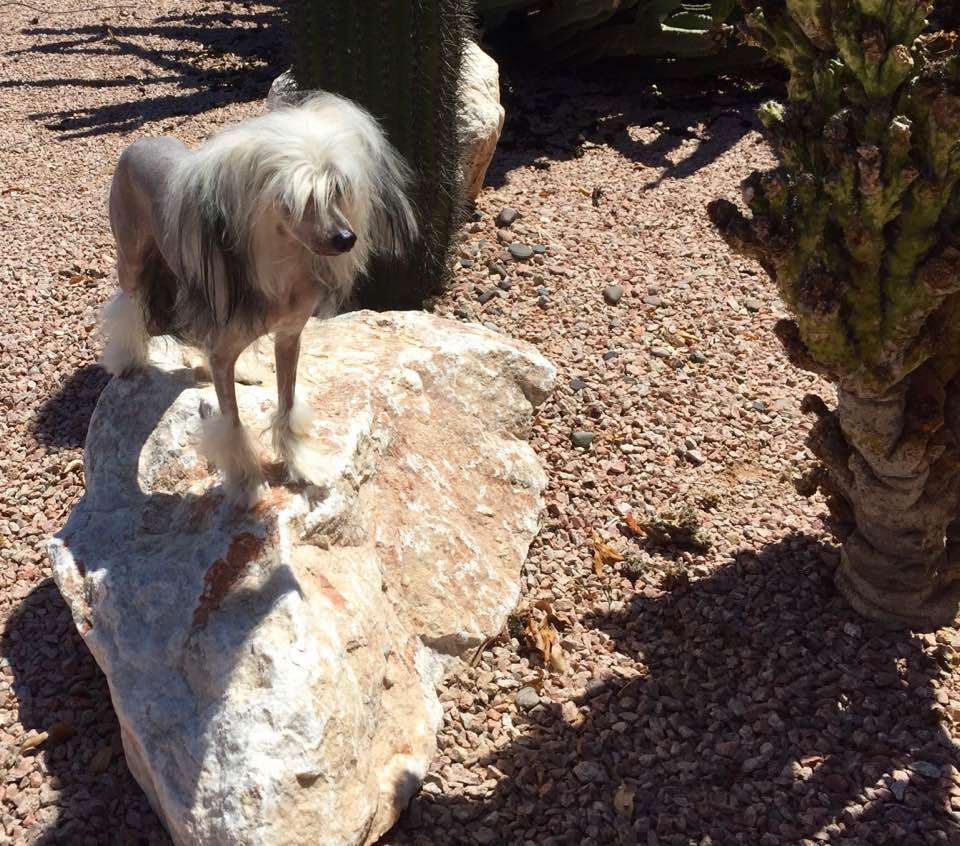 Nina's K Fairytale Princess