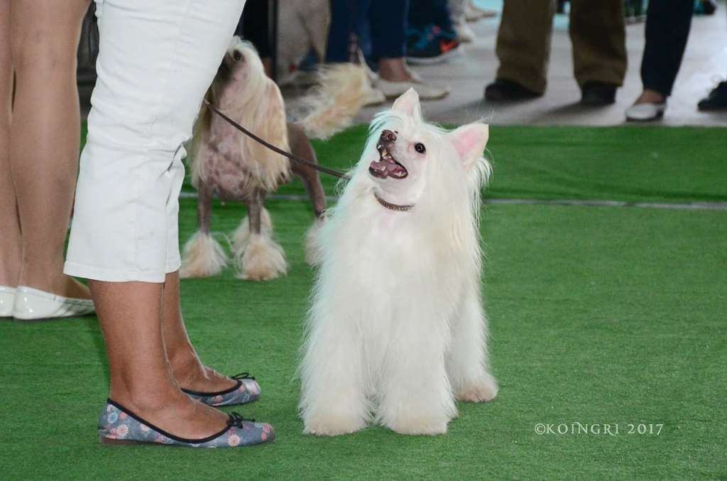 Mashama Mazi Rus Ongoza Nya