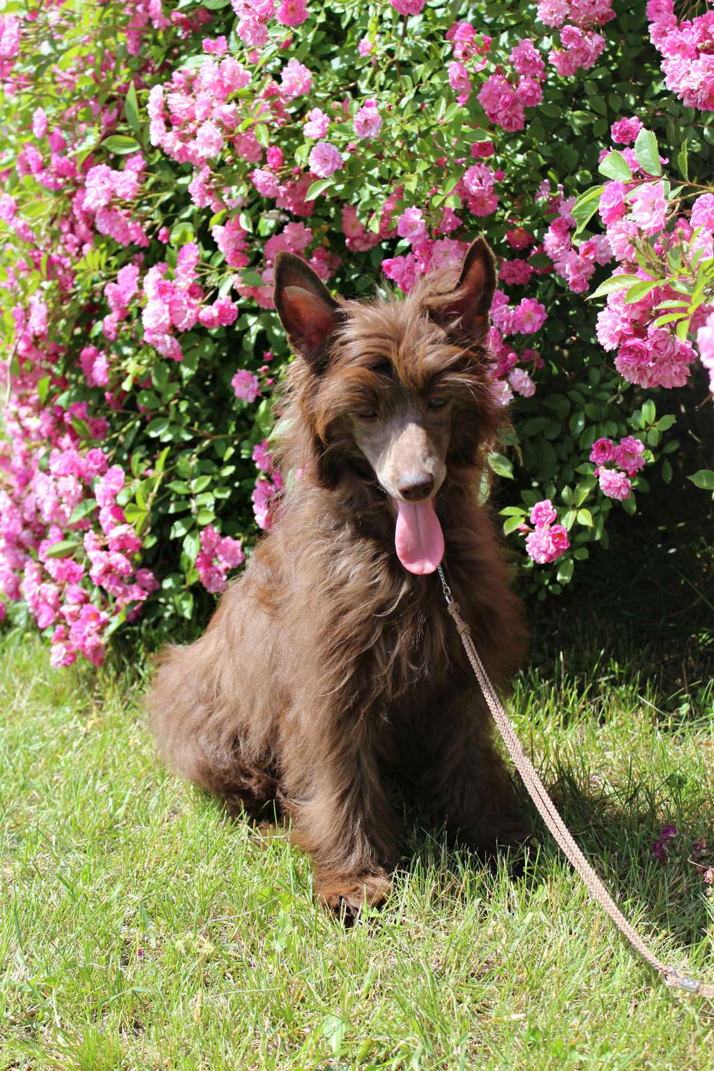 Uri Jarin Miracolo Dell'anima