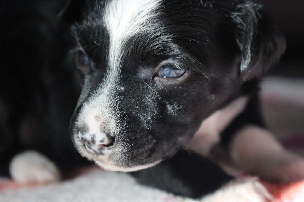 Dresscode-Zero Qualified Nightmare