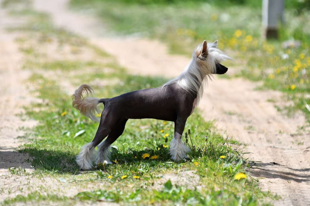 Justyna Winning Smile