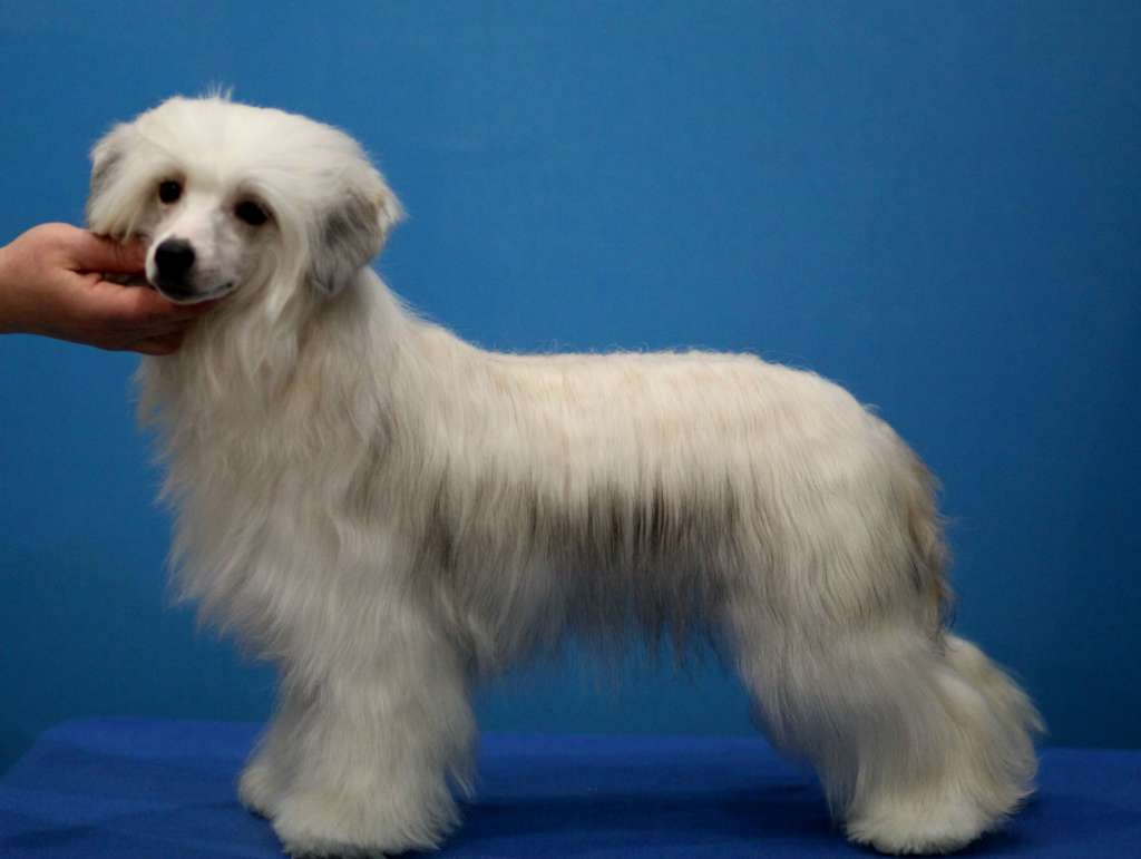 Denville Ozi Leticia