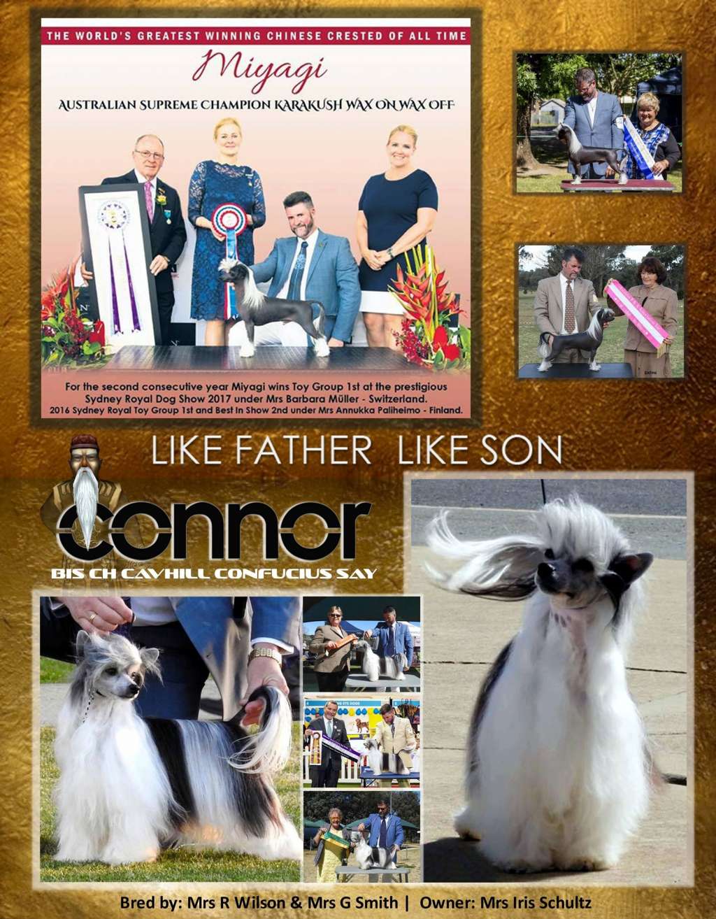 Cavhill Confuscius Say