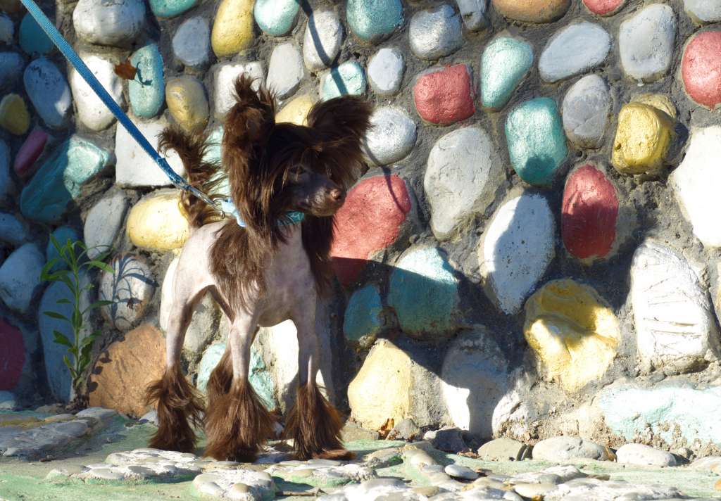 Stilniy Glamour Royal Chocolate Michel