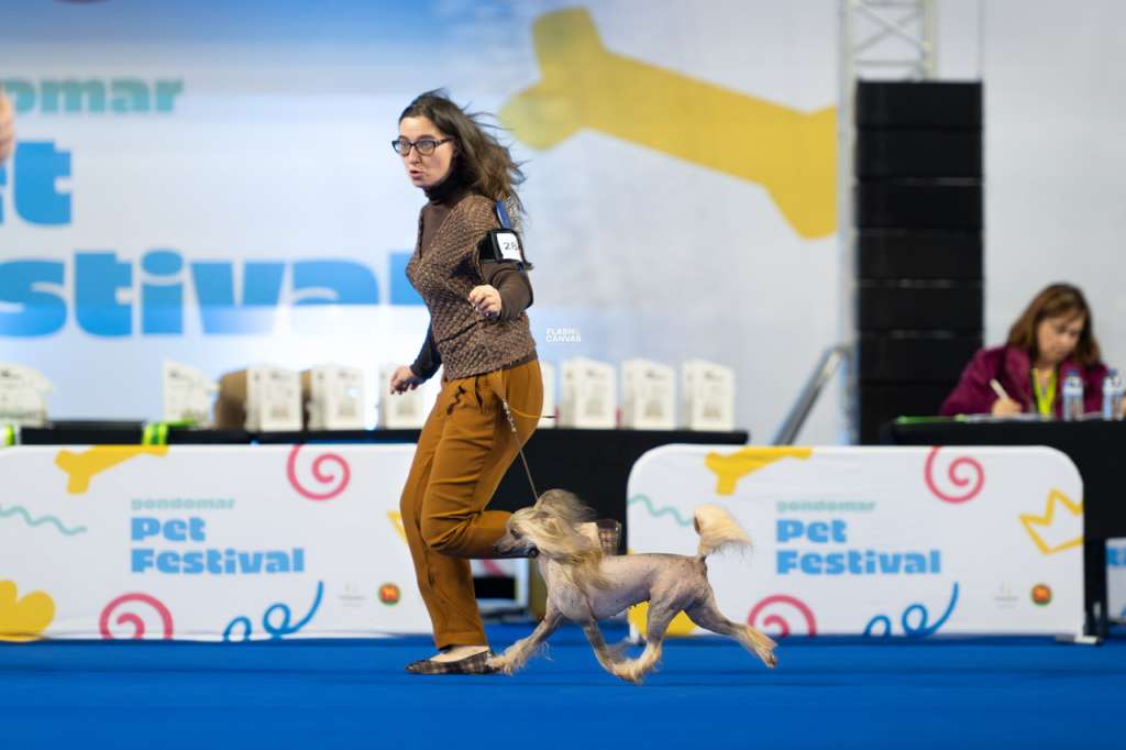 Snowflake Of CayoCarpo