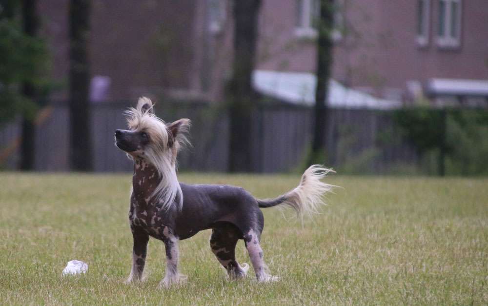 Totally Surprise You Diamond Place