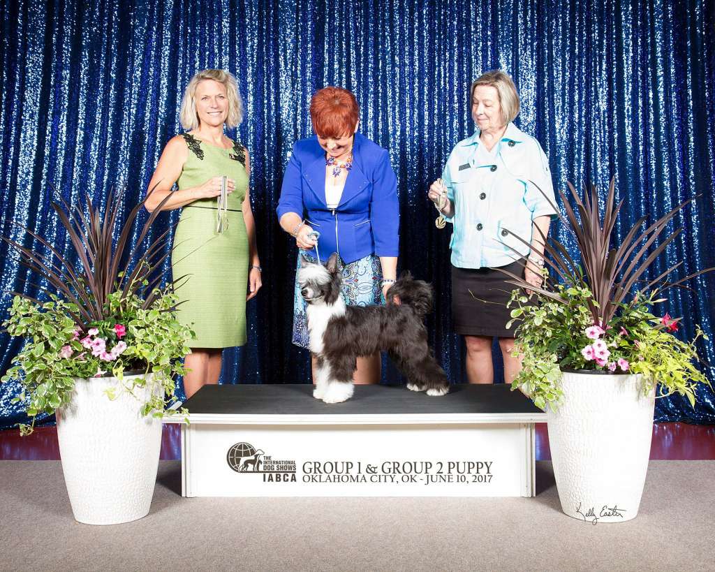 Worka Art Delende Indian Outlaw