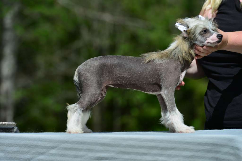 Sun Dan High Fashion