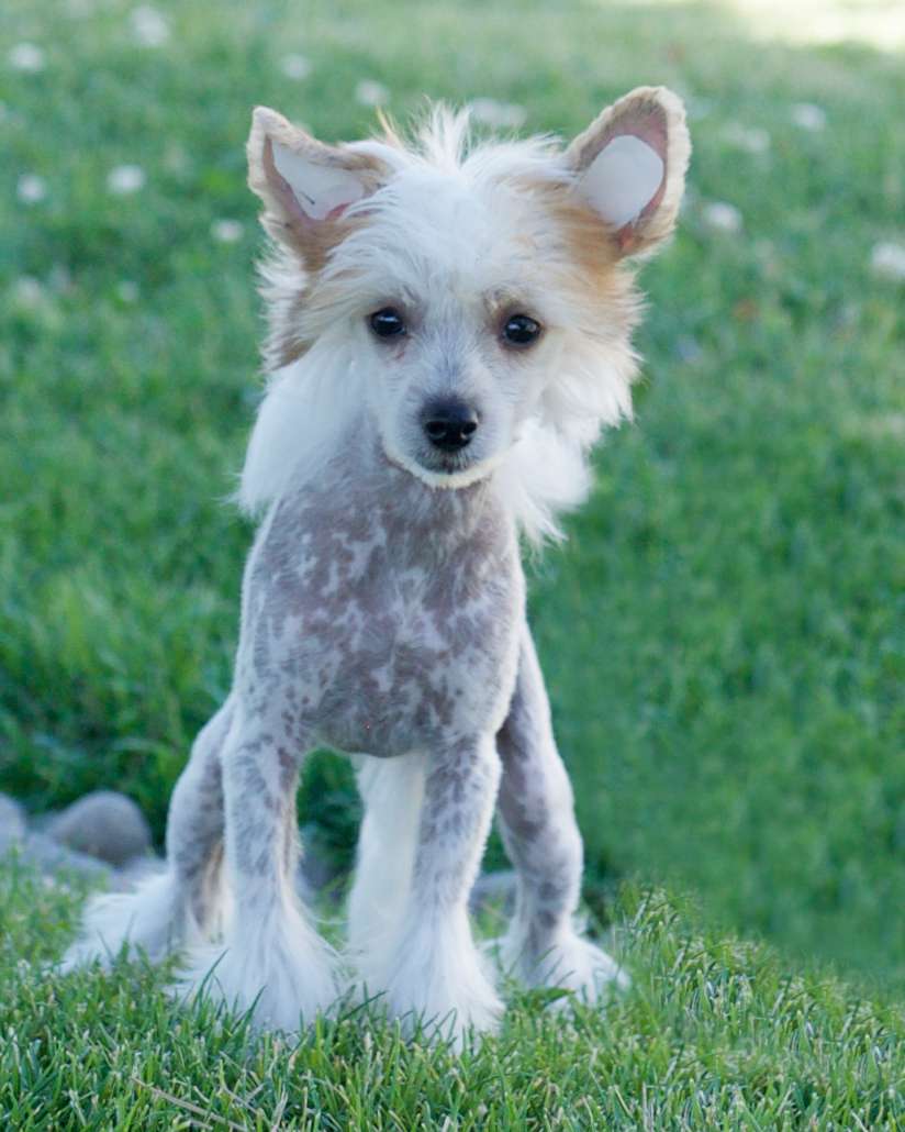 Deja Vu U Can'T Afford Me Reimar