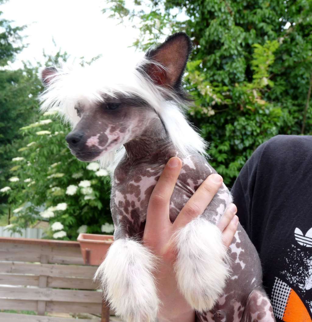 Fundoklia-völgyi Kaszanics Hunter