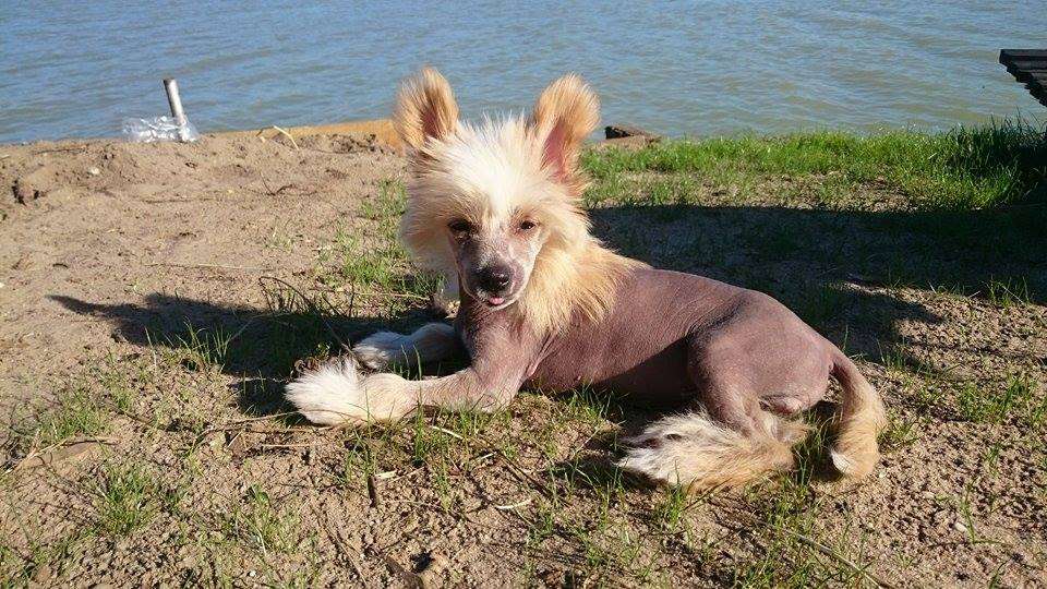 Sensai Kanebo Gattaca