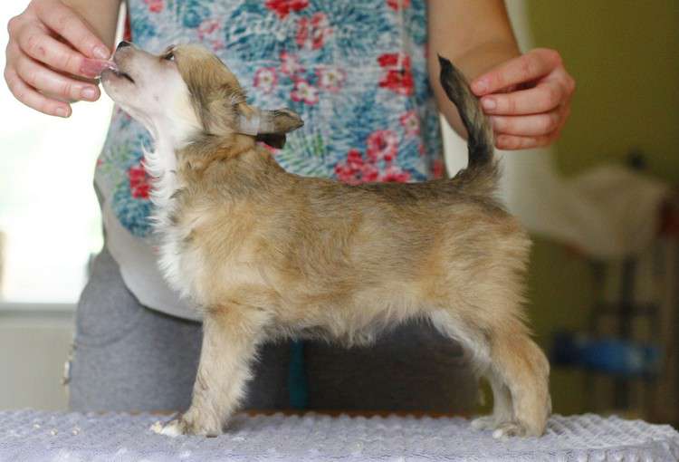 Sunrise Sunset Gattaca