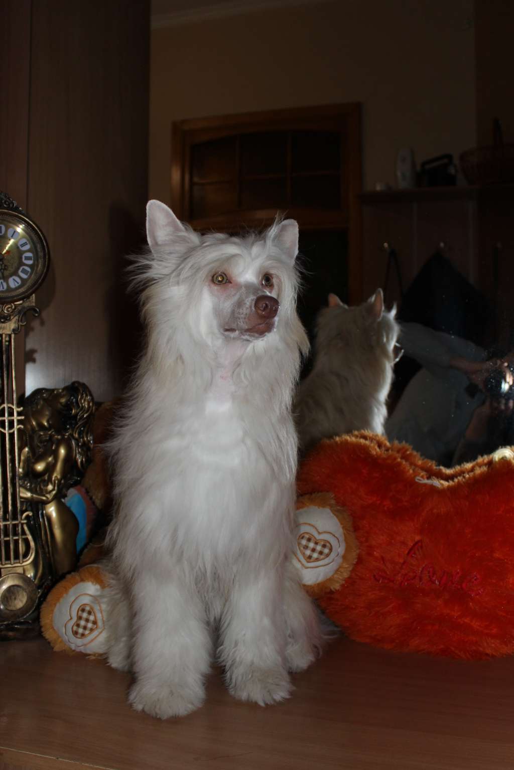 Vinnie Kapitan Miracolo Dell'anima