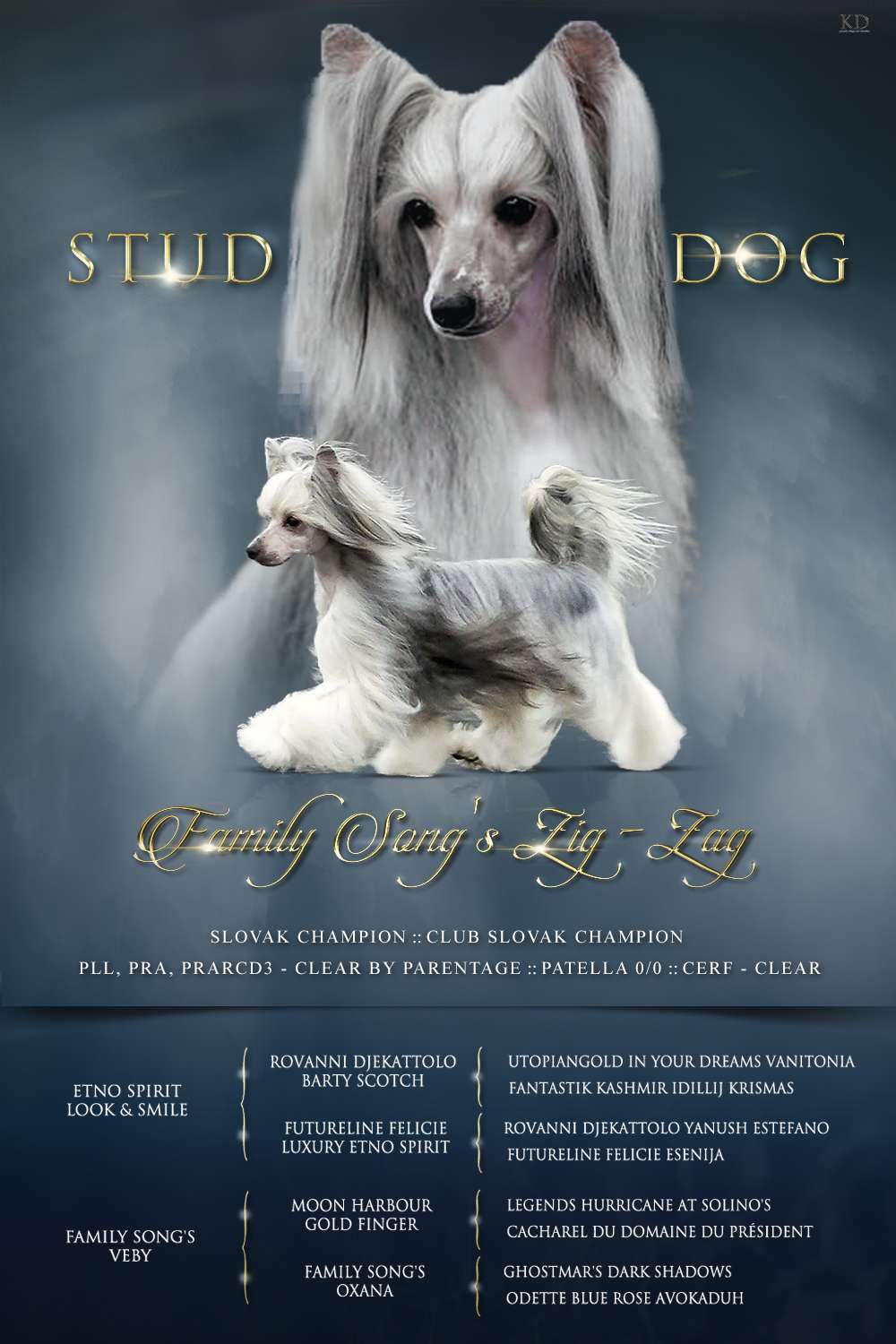 Family Song's Zig-Zag