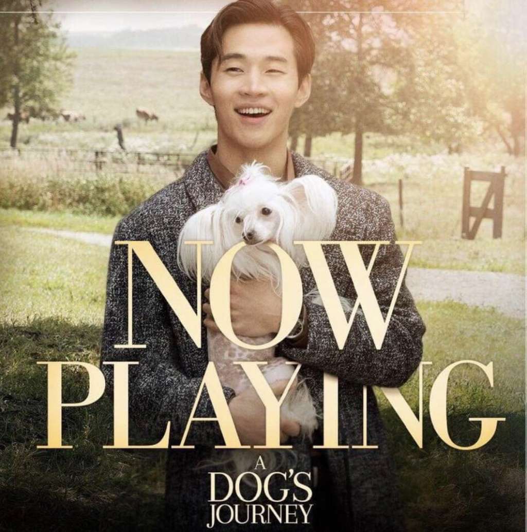 Ethereal's The Cat's Meow