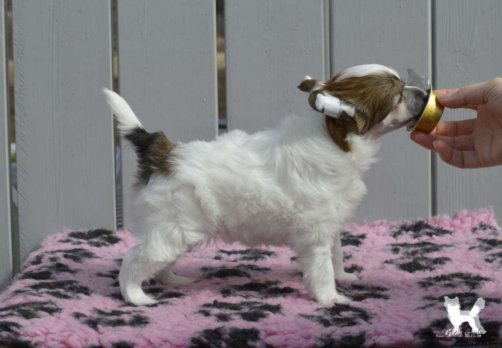 Girls Girls Cosmopolitan Cover Girl