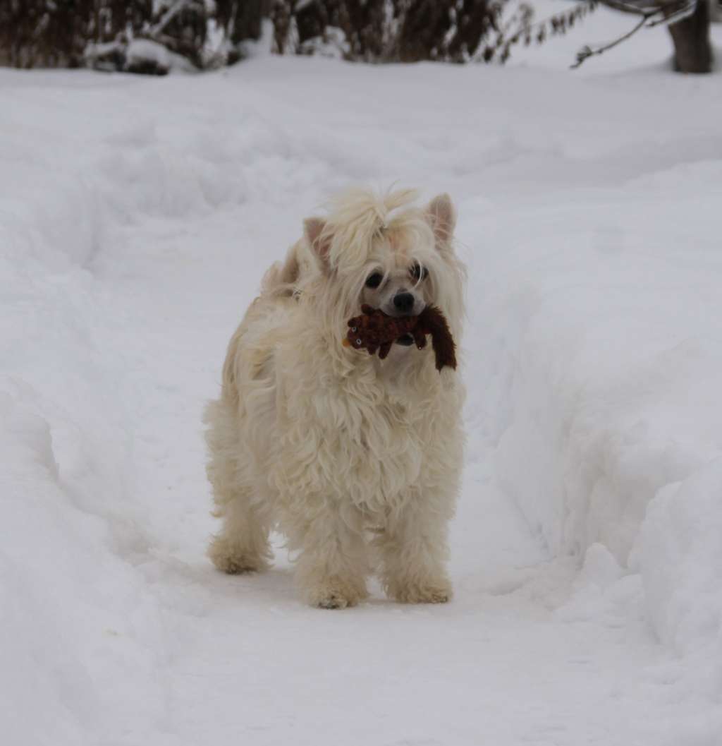 Credo Marini Believe In You