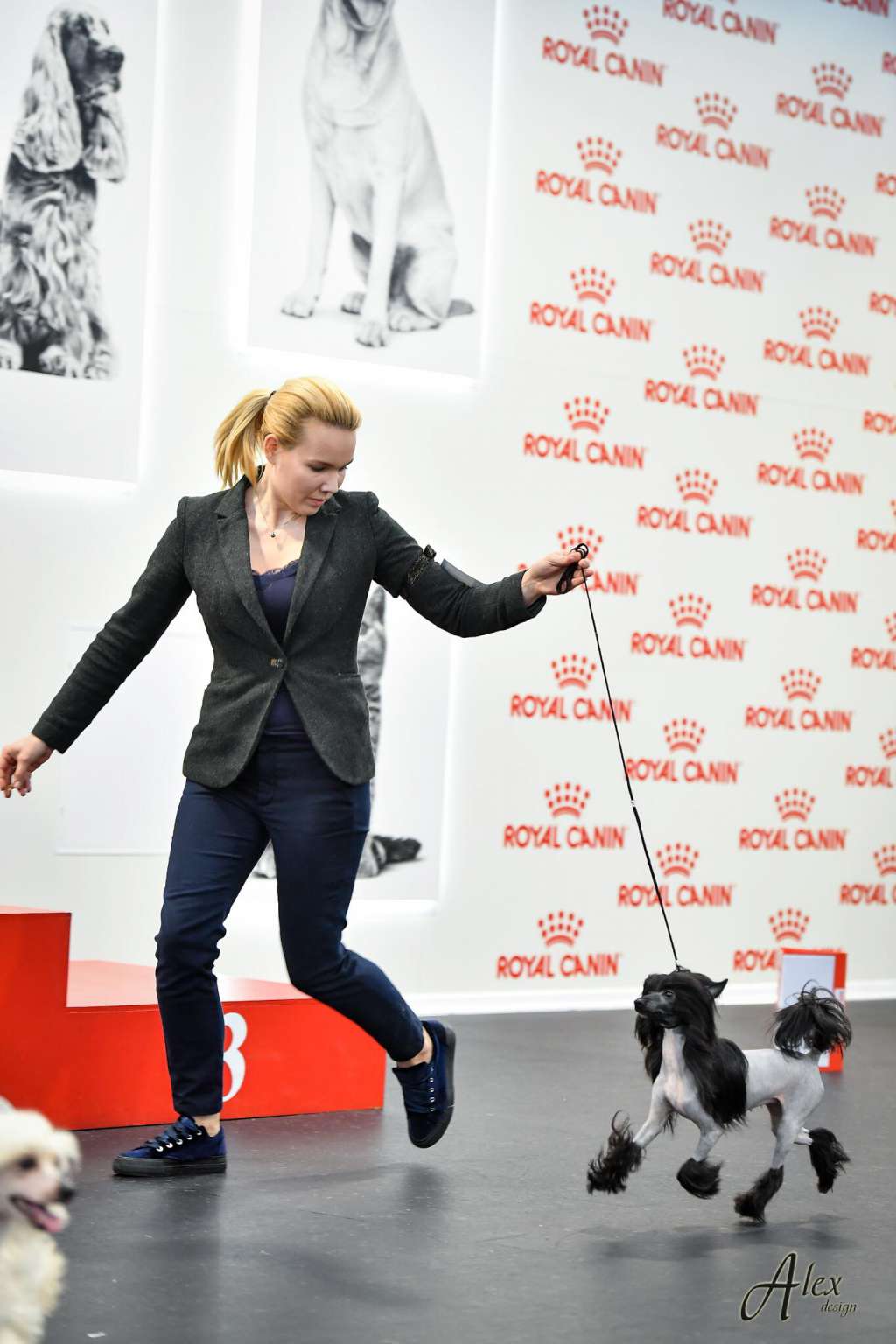 Charuyuschiy Soblazn So the star Sophie