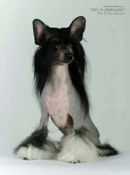 Marion Magnifique Admirable