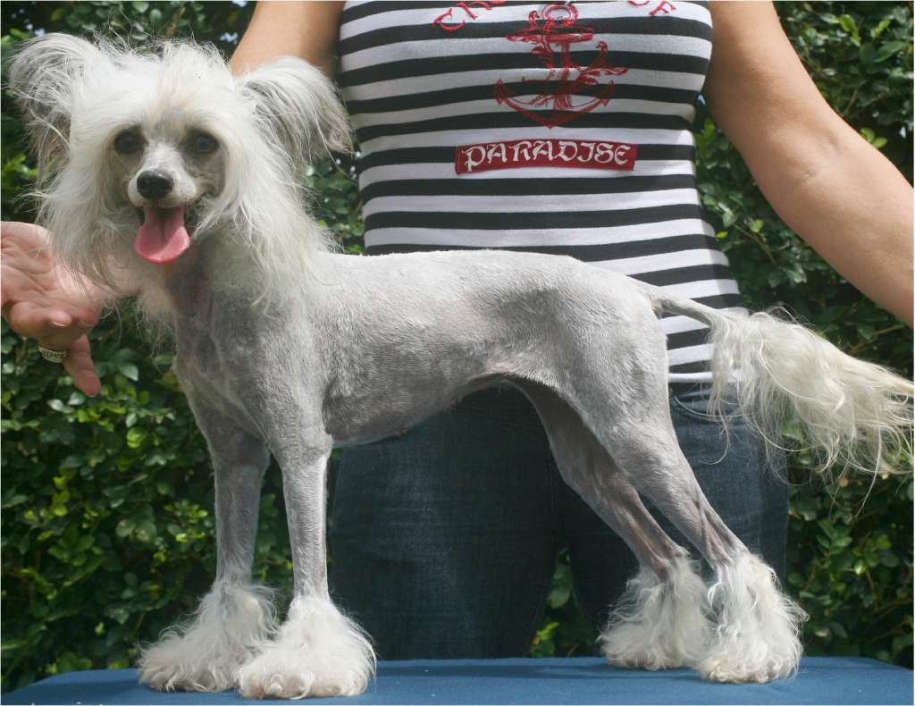 Carmelita Epocha