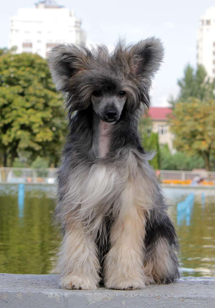 Twinkle Soul  YArkij Priz