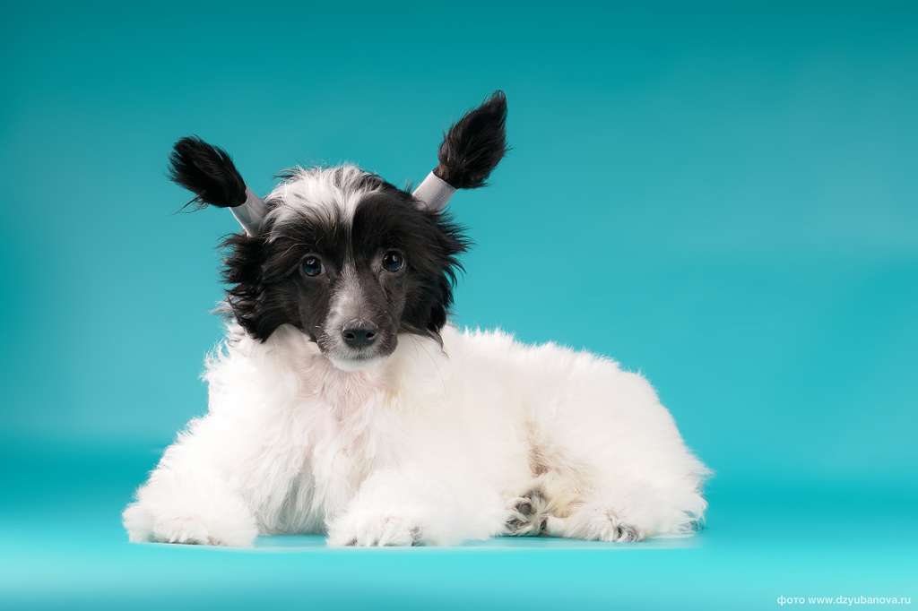 Grand Romantiq Aleksandrit