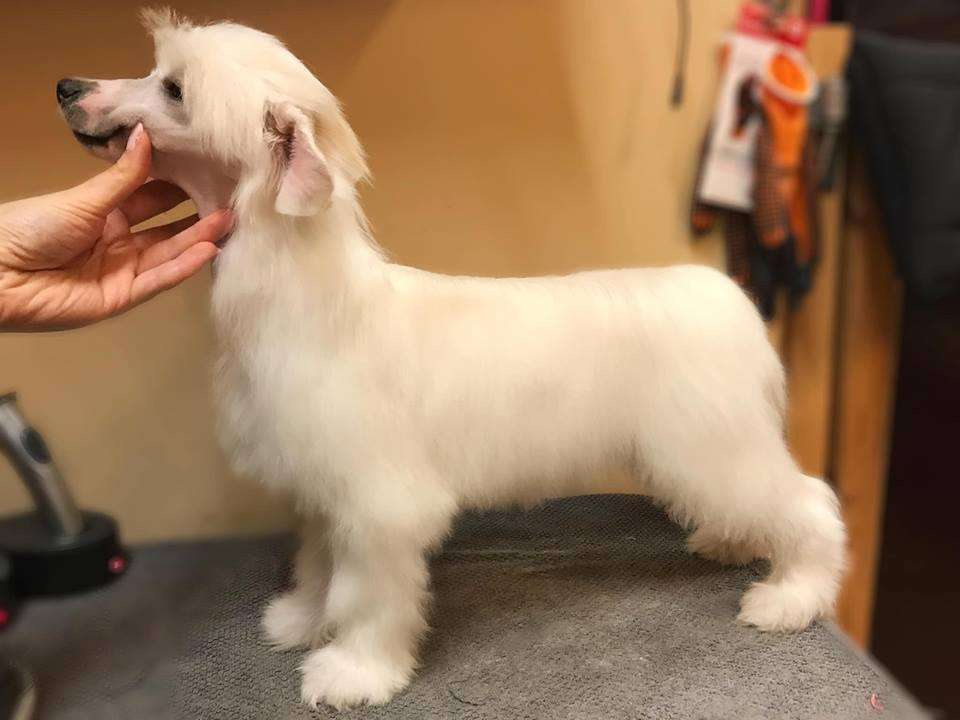 Jean Dark Puffibly Maybe At Lubadusi