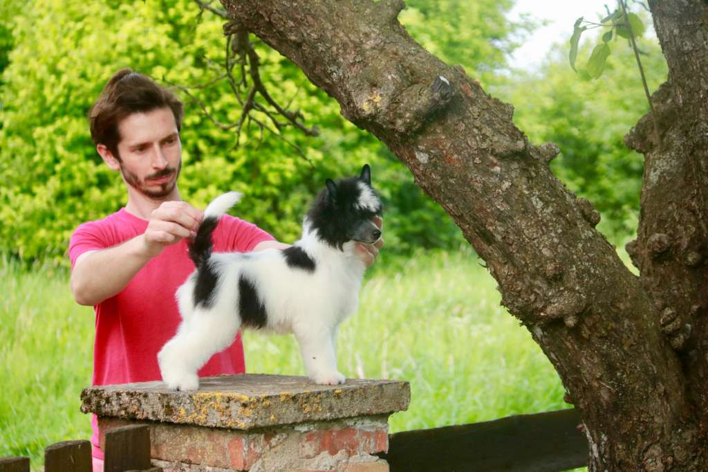 Niebezpieczne Zwiazki Next Germanika