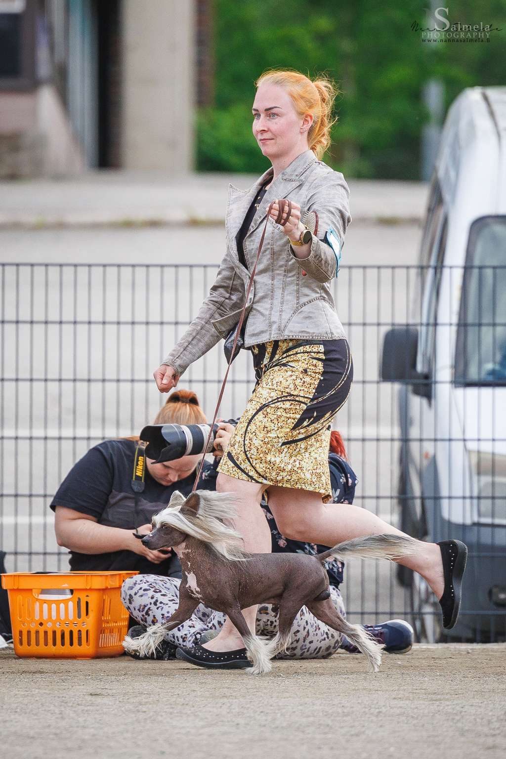 Very Special Princes de la Roses